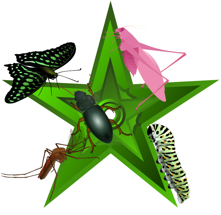 Орден #4 «An infested Barnstar», присвоен 13 декабря 2012 участником GreenZeb за «за улучшение латышских статей по энтомологии»