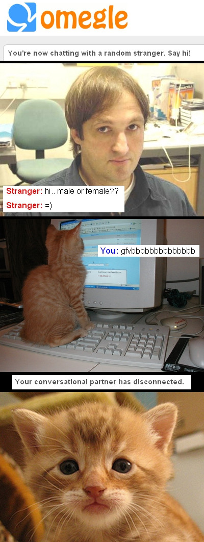 Omegle-Humans-only.jpg