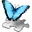Butterfly template.gif
