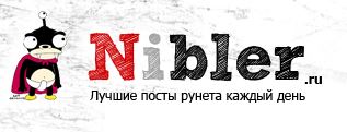 Логотип Ниблера.JPG
