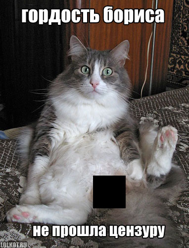 Гордость кота Бориса не прошла цензуру.jpg