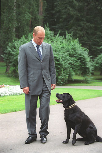 Путин и лабрадор Конни Полгрейв 2001.jpg