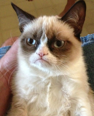 Grumpy Cat.jpg