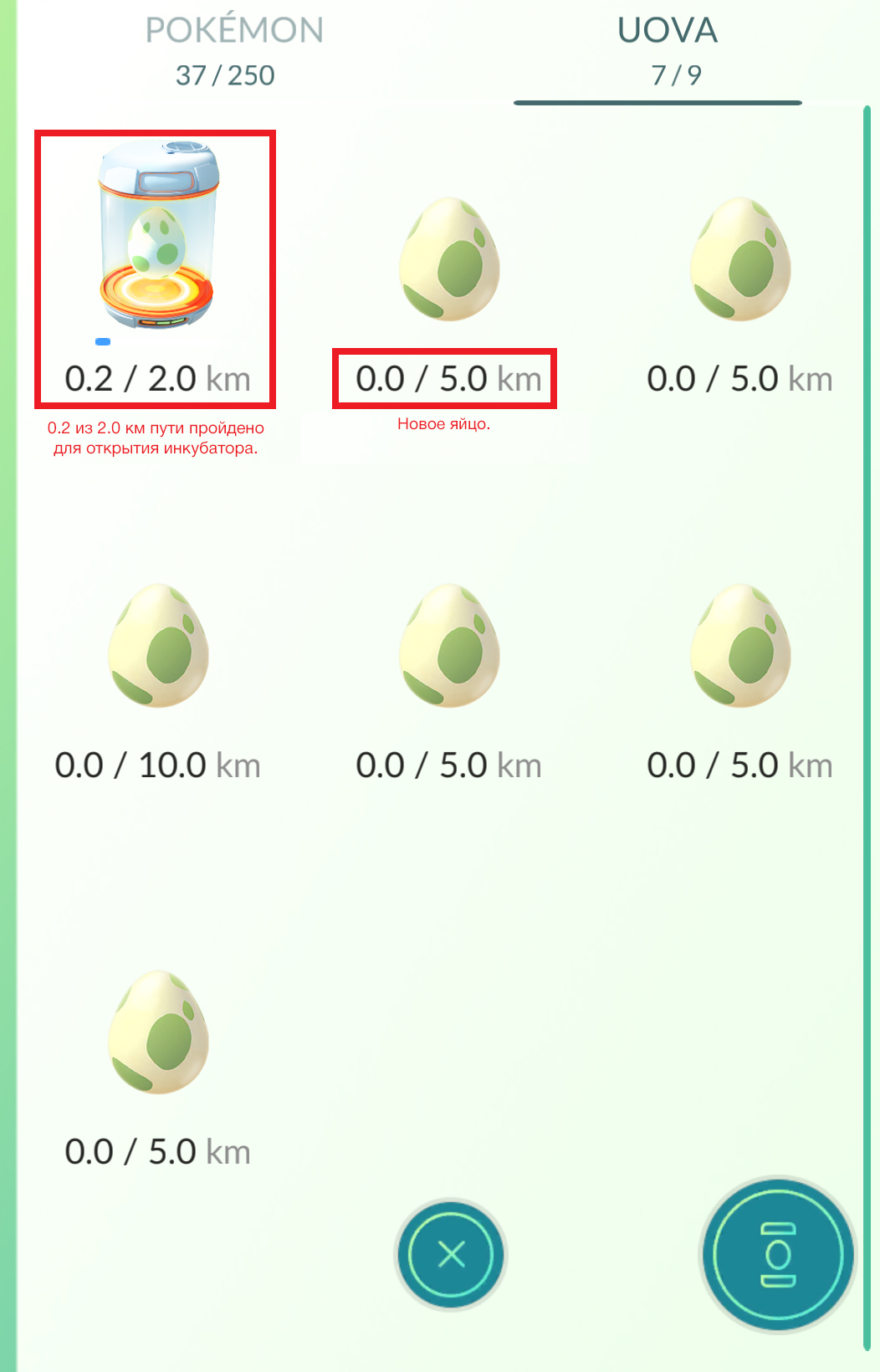 Eggs menu.jpg
