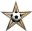Орден #3 «Футбольная звезда», присвоен 11 июня 2010 участником Tutaishy за «доработку статьи о Марадоне до статуса избранной»