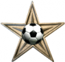 Орден «Футбольная звезда»