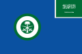 Flag of the Royal Saudi Air Force.svg